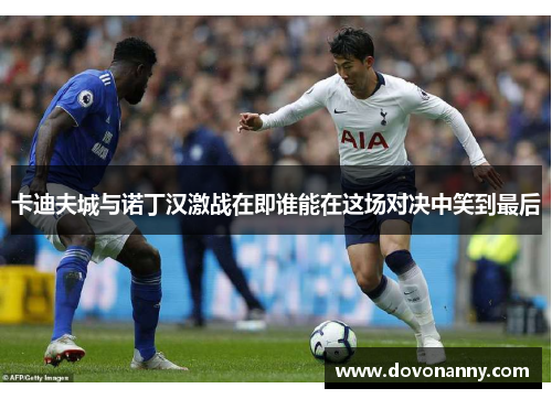 卡迪夫城与诺丁汉激战在即谁能在这场对决中笑到最后